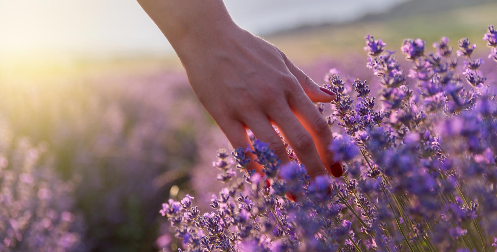Introduzione alla Mindfulness - Marzo