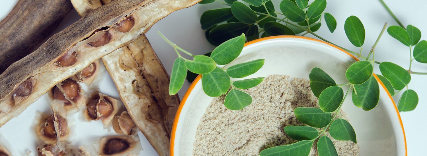 Moringa biologica