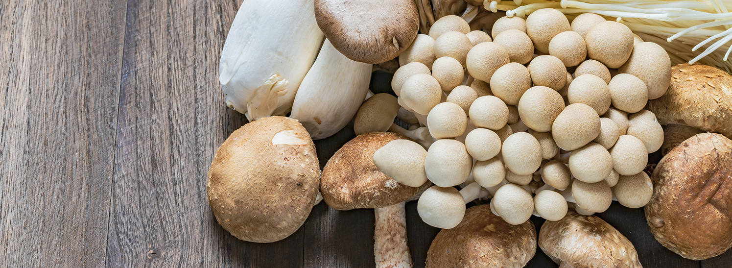 Super miscela avanzata di funghi