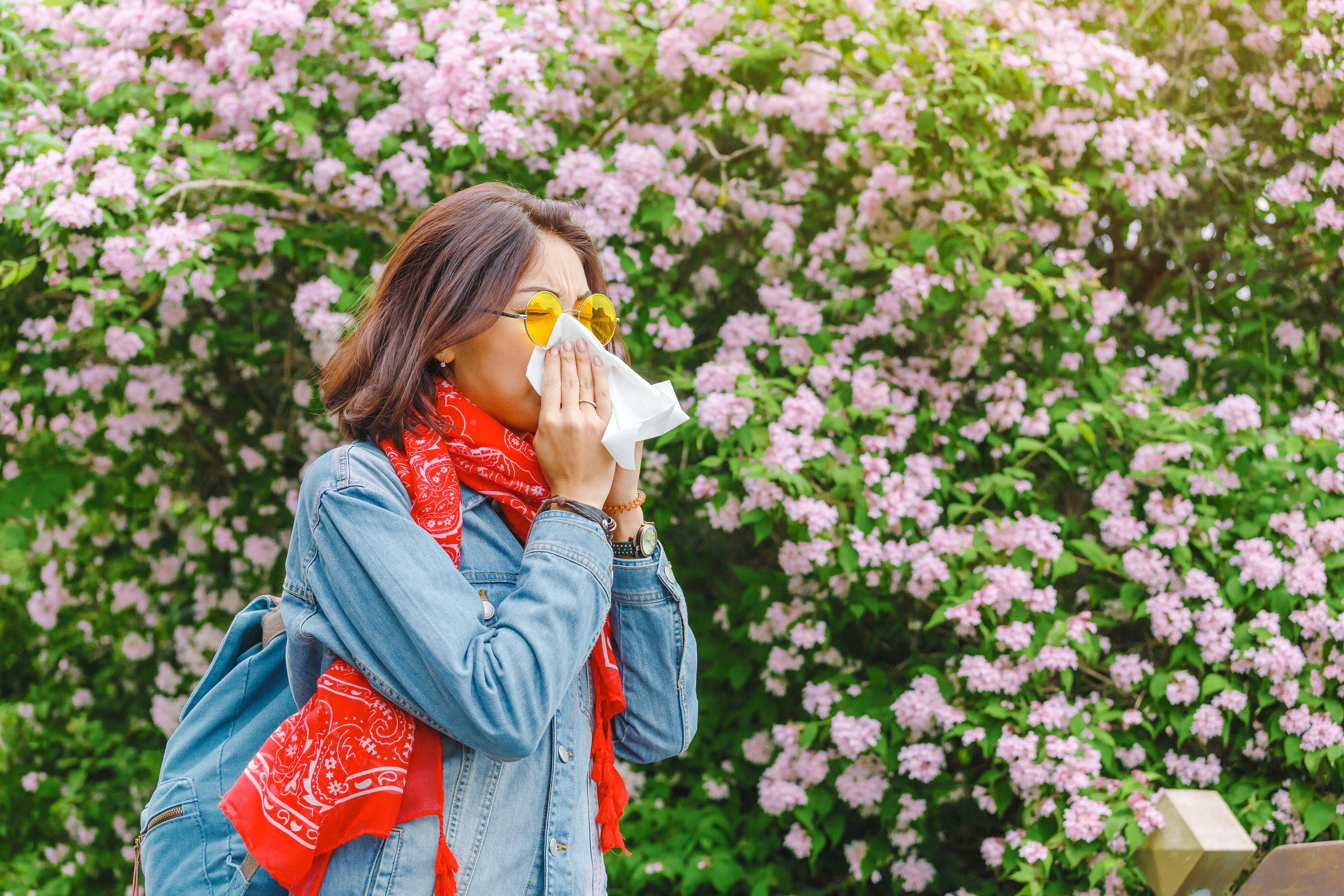 7 rimedi naturali efficaci per alleviare le allergie stagionali