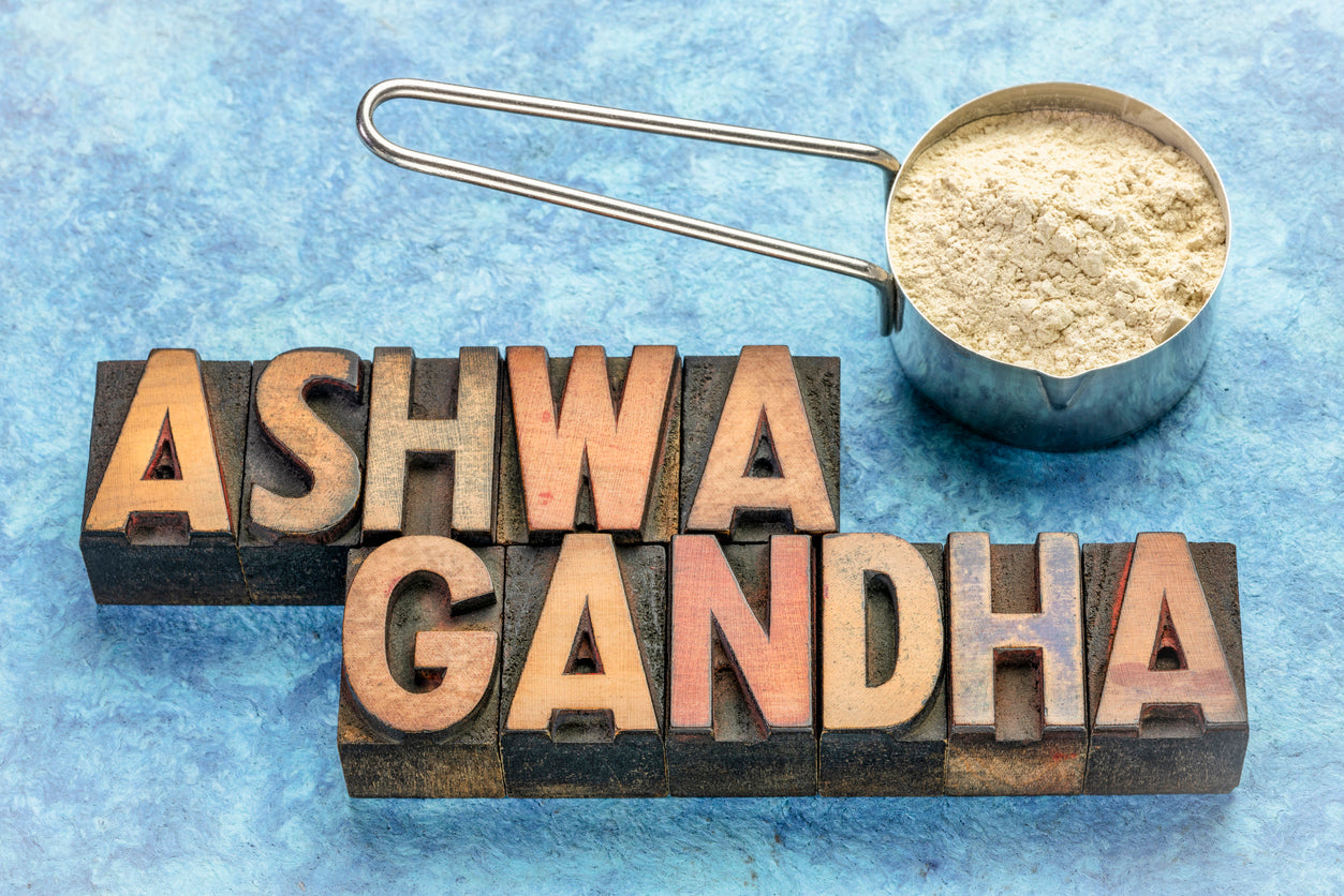 Integratore di Ashwagandha: i benefici per la salute di questa erba adattogena