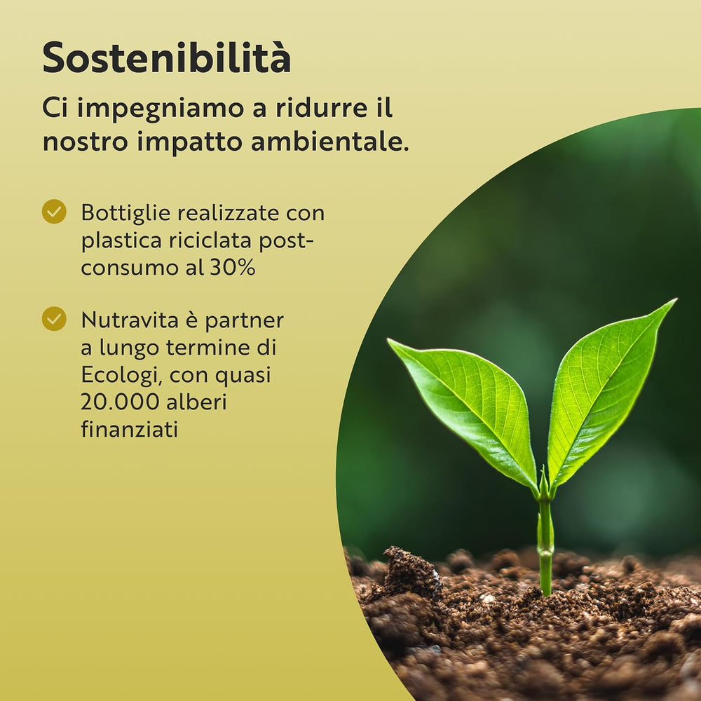 Fungo di criniera di leone biologico 1500 mg 120 capsule