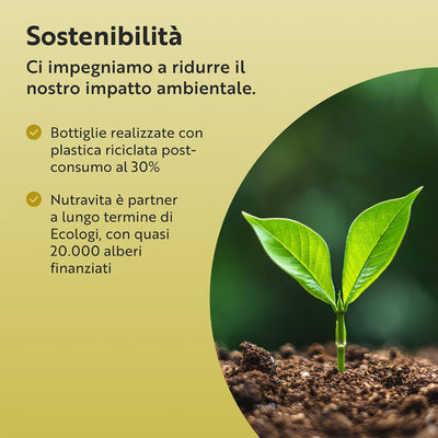 Fungo di criniera di leone biologico 1500 mg 120 capsule