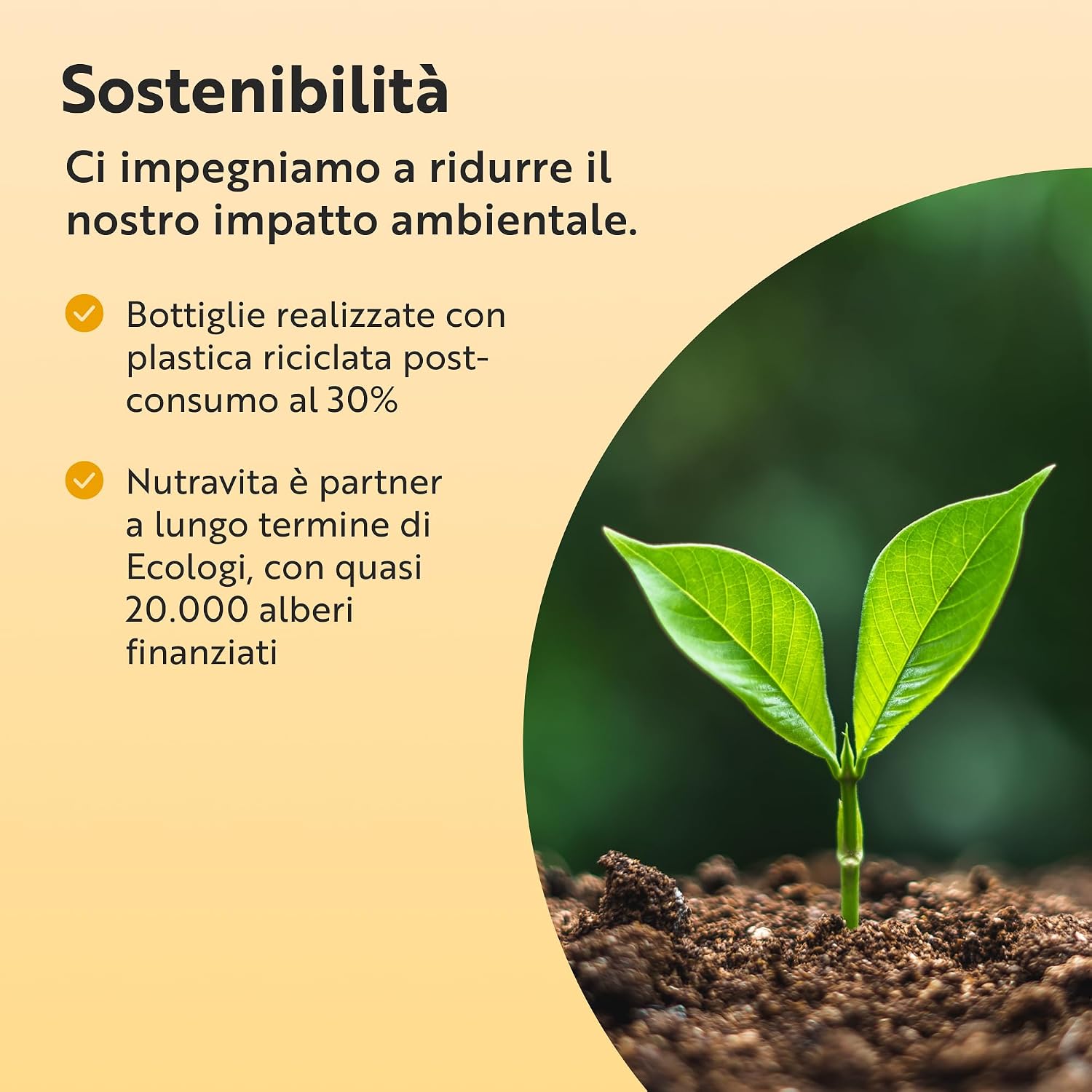 Creatina Monoidrato Con Magnesio 360 g – 60 Porzioni