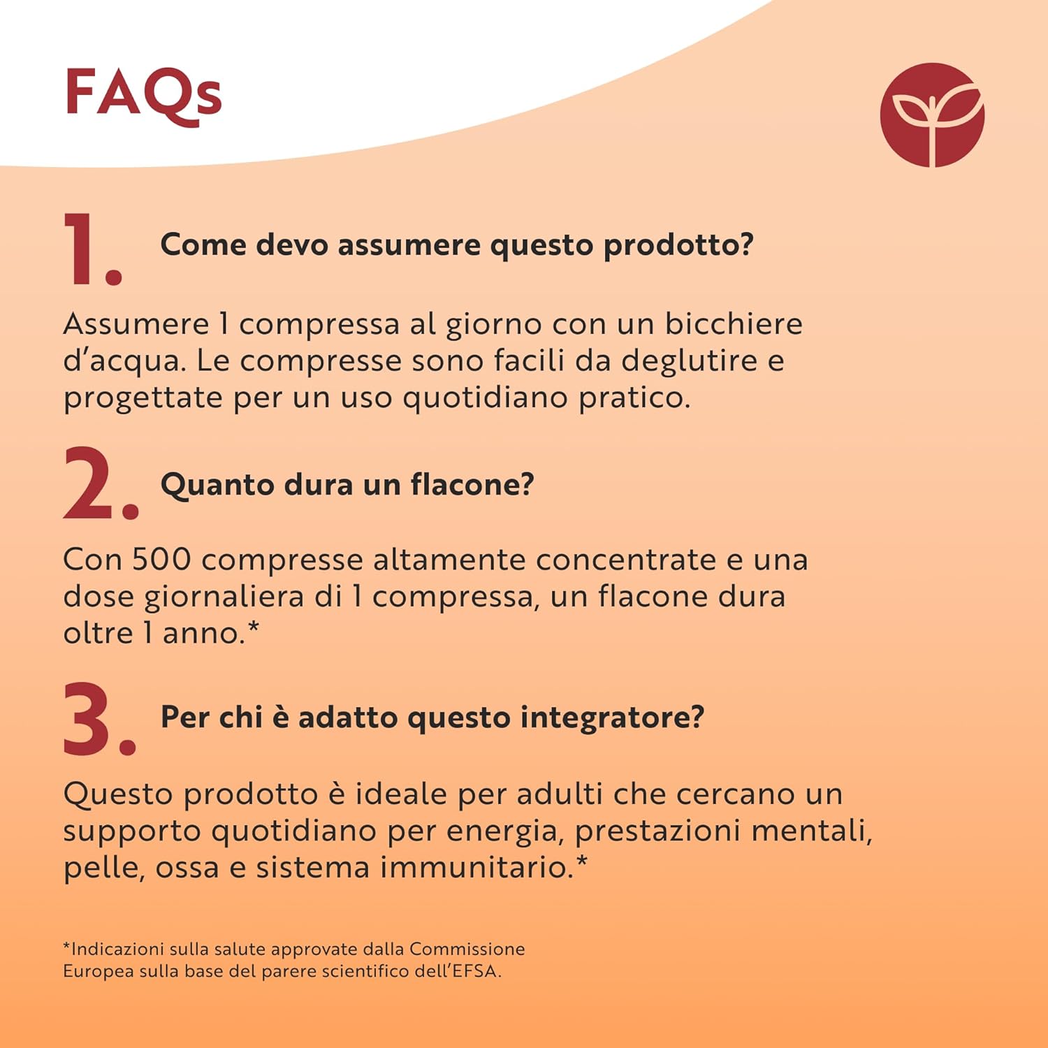 Vitamina B Complex con Vitamina C + Vitamina D - 500 Compresse
