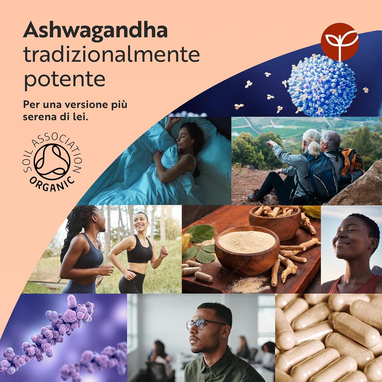 Ashwagandha Bio 500mg - 60 Capsule Vegane