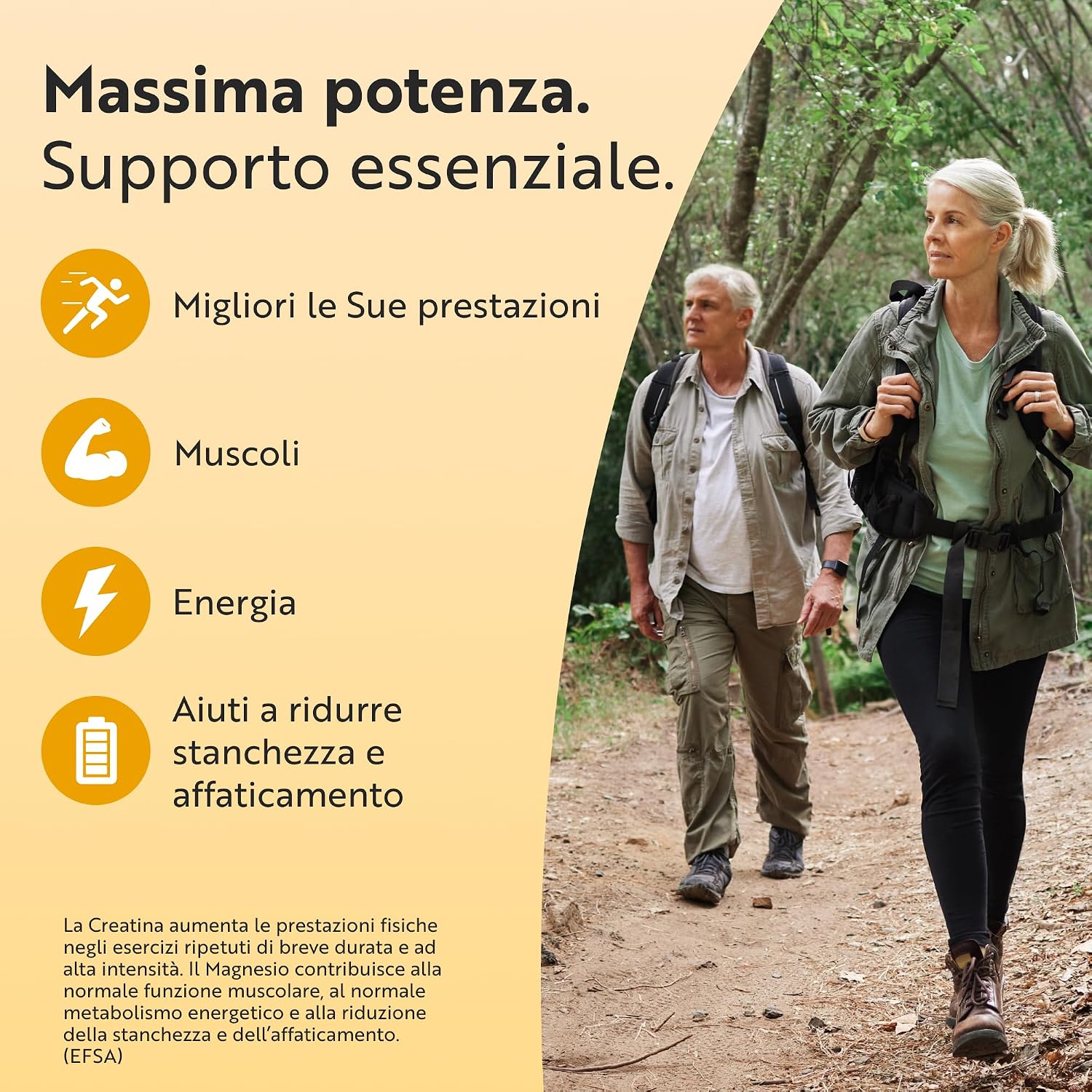 Creatina Monoidrato Con Magnesio 360 g – 60 Porzioni